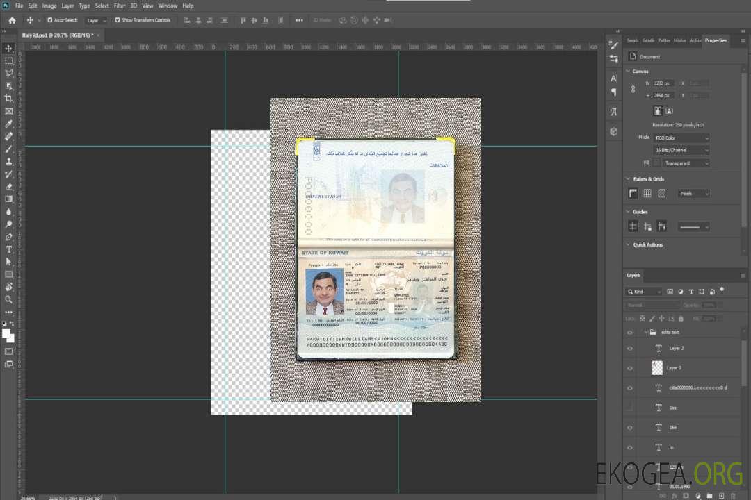 Look de photo de passeport du Koweït template Look de photo de passeport du Koweït template
